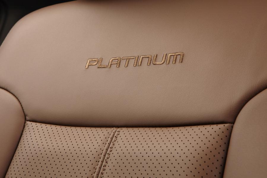  Ford F-250 Super Duty Platinum 2013 года  (фото 6 из 38)